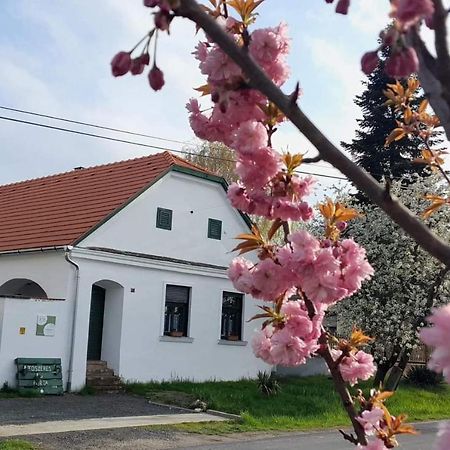 Villa Fuszeres Porta Mihalyfa Exterior foto
